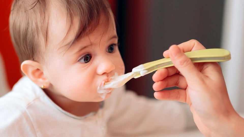 Sensory-Based Feeding Strategies