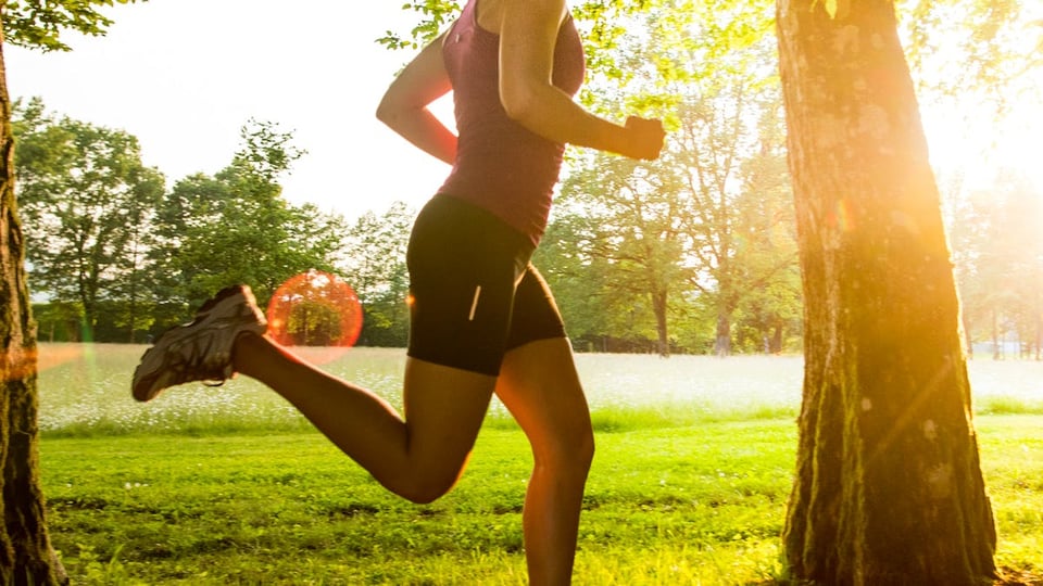 Running Biomechanics