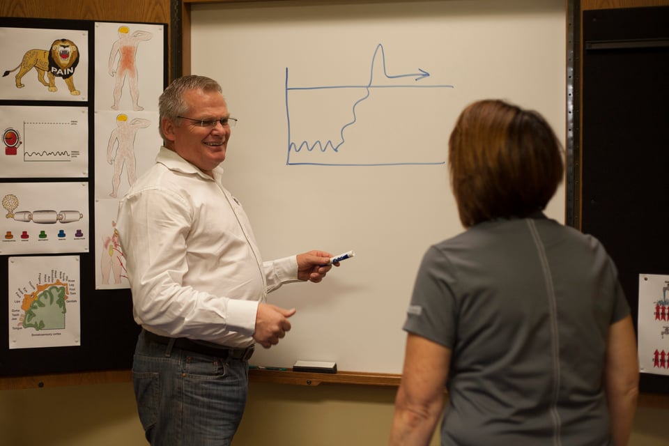 Pain Neuroscience Education 4 Hours: Teaching People About Pain by EIM