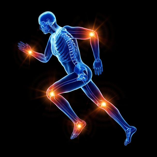 Orthopedic Core Curriculum - Neurological Screen: Upper and Lower Quarter