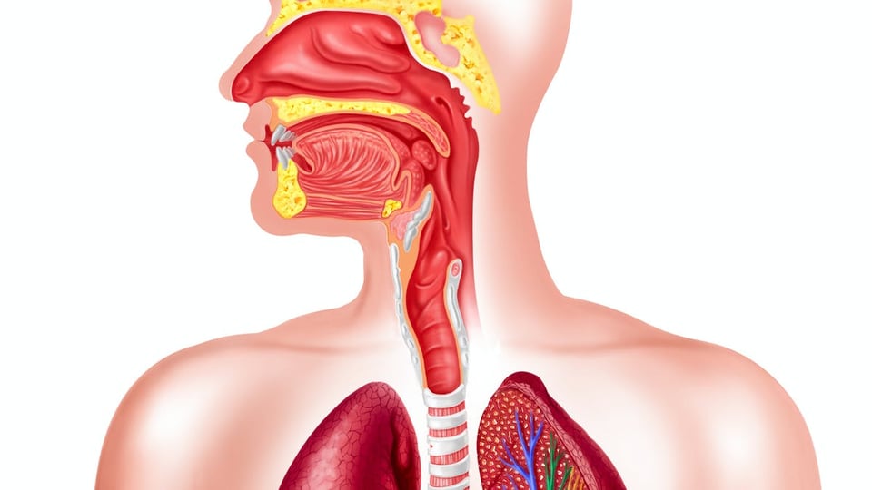 What Every Therapist Needs to Know About Dysphagia